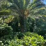 Superbe Rez-de-villa 6p Calme & A Pied Le Pradet
