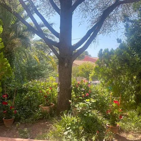 Superbe Rez-de-villa 6p Calme & A Pied Tatil Evi