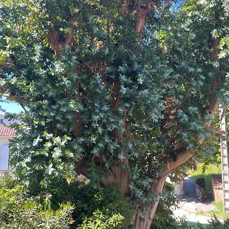 Superbe Rez-de-villa 6p Calme&plage à Pied *