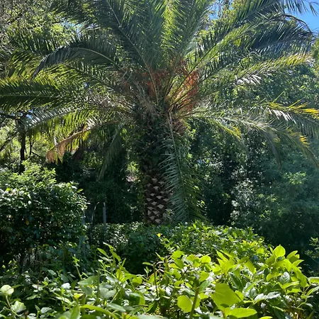 Superbe Rez-de-villa 6p Calme&plage à Pied Le Pradet
